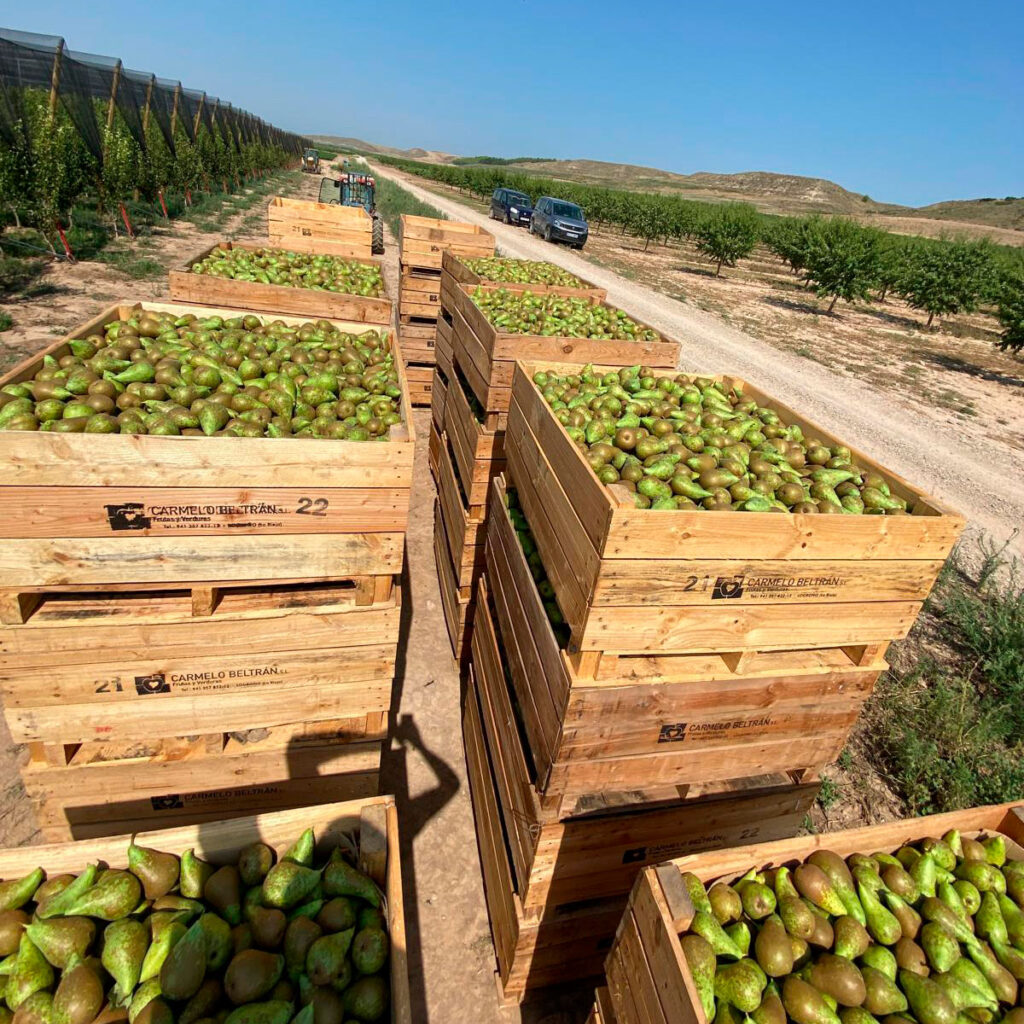 Despensa del Ebro. Nuestra huerta