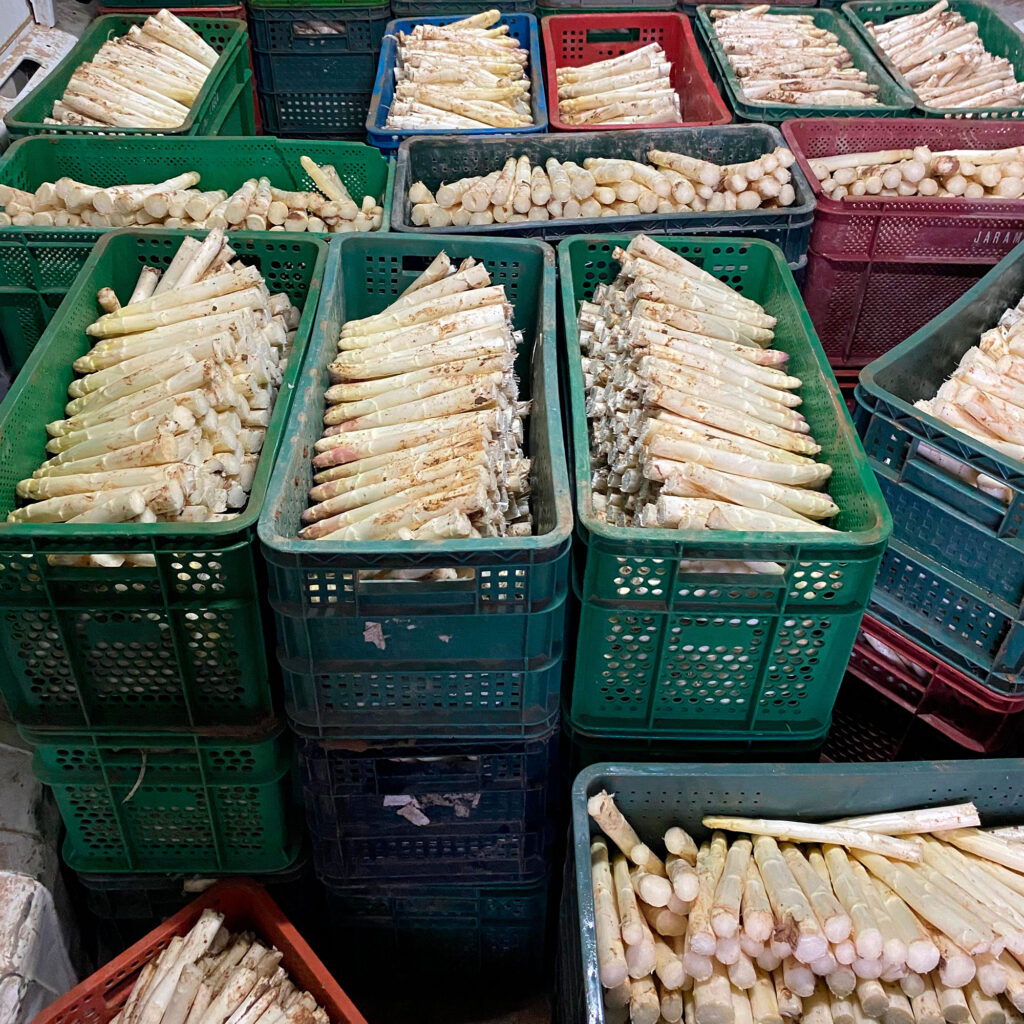 Despensa del Ebro. Espárragos de Navarra