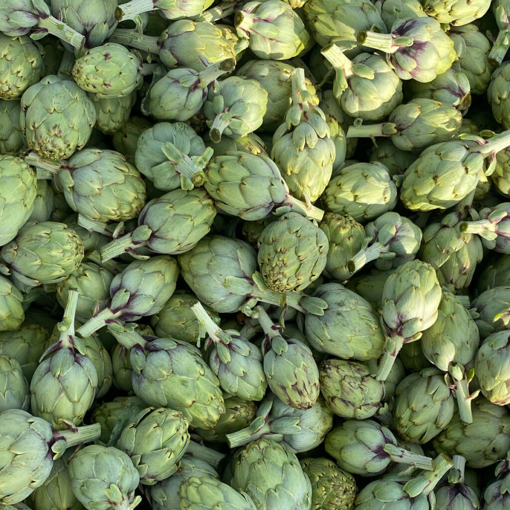 Despensa del Ebro. Alcachofas D.O. Tudela