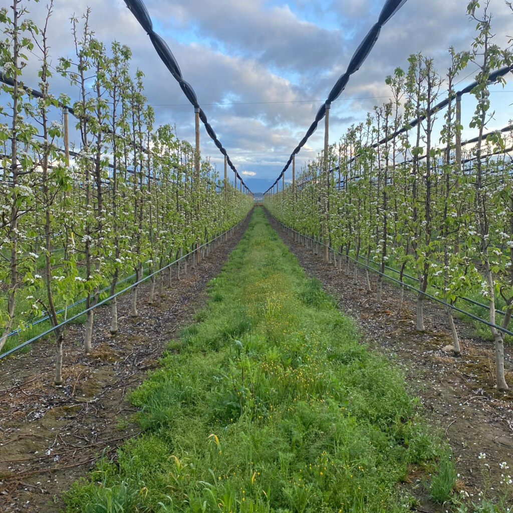 Despensa del Ebro. Logroño
